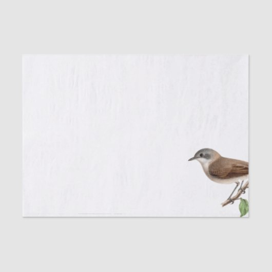 Bird Nest Tree  Frans Script Decoupage Tissuepapier (Voorkant)