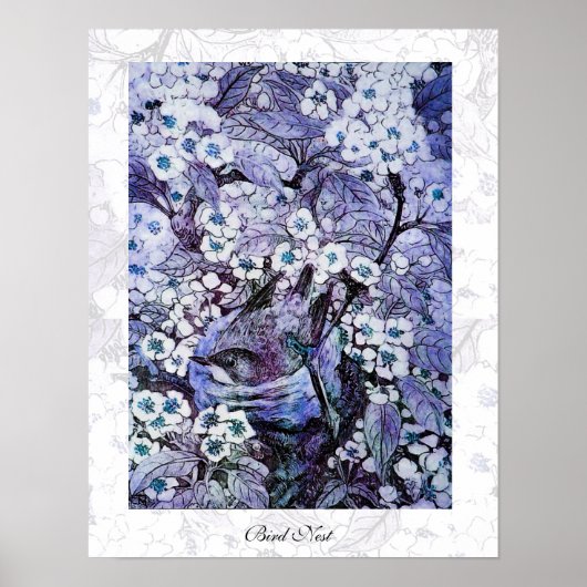 BIRD NEST, wit blauw Poster (Voorkant)
