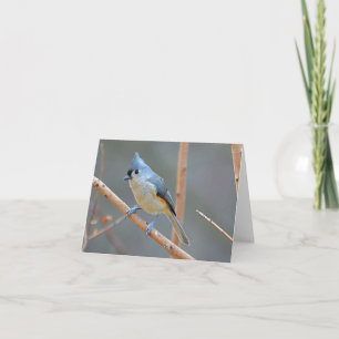 Bird Notecard Feestdagen Kaart