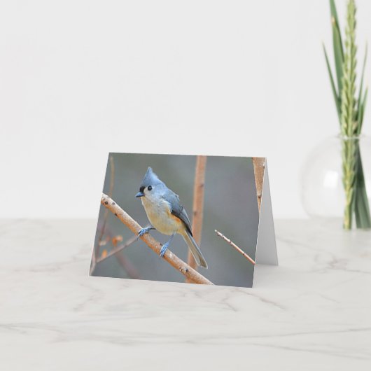 Bird Notecard Feestdagen Kaart (Voorkant)