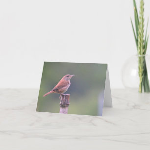 Bird Notecard Kaart