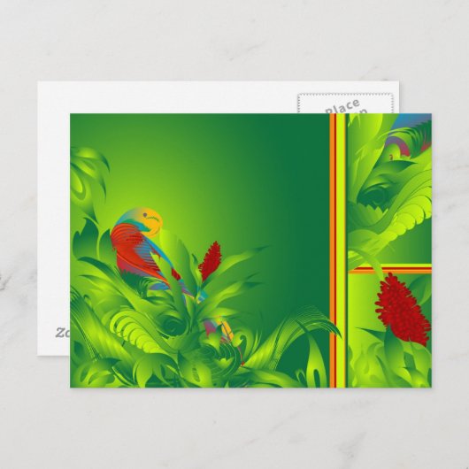 Bird O' Paradise briefkaart (Voorkant / Achterkant)