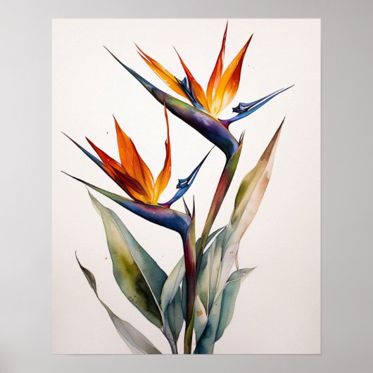 Bird of Paradise Art Print Poster (Voorkant)