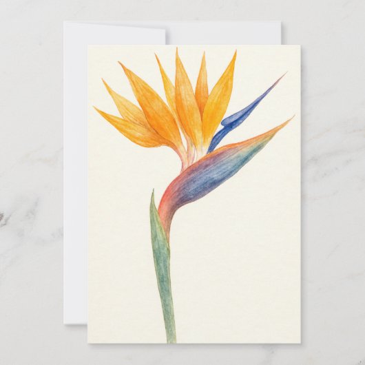 Bird of Paradise Botanisch Briefkaart (Voorkant)