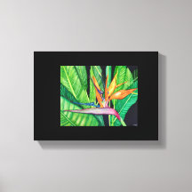 BIRD OF Paradise canvas