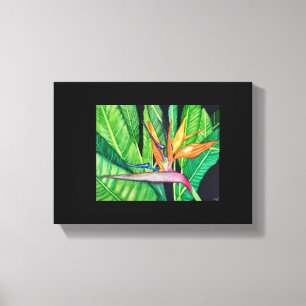 BIRD OF Paradise canvas