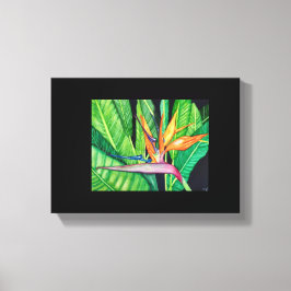 BIRD OF Paradise canvas Afdruk