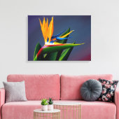 Bird of Paradise Canvas Print (Insitu (Woonkamer))