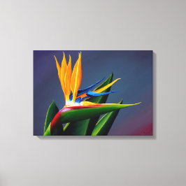 Bird of Paradise Canvas Print