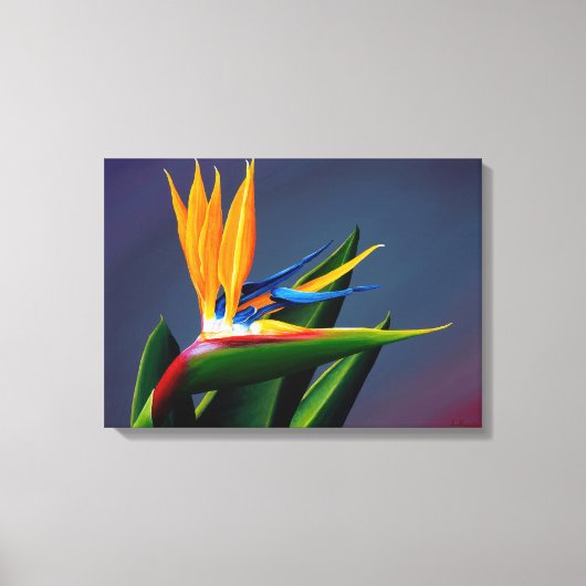 Bird of Paradise Canvas Print (Voorkant)