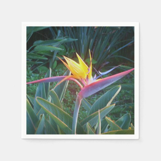 *Bird of Paradise* Cocktail servetten (Voorkant)