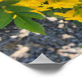 Bird of Paradise Flower Foto Poster (Hoek)