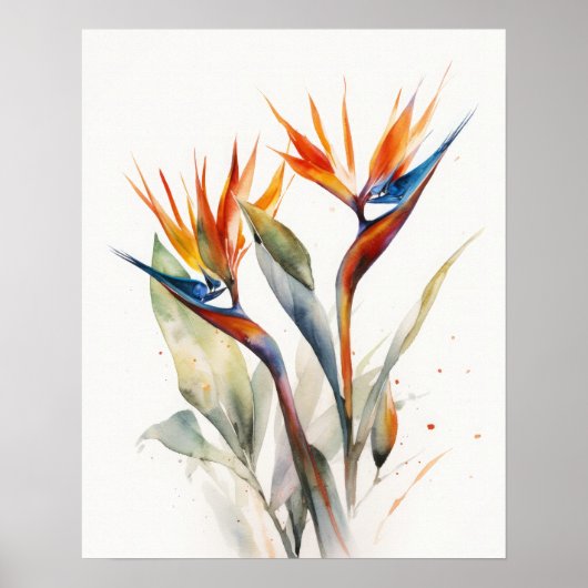 Bird of Paradise Flowers Art Print Poster (Voorkant)