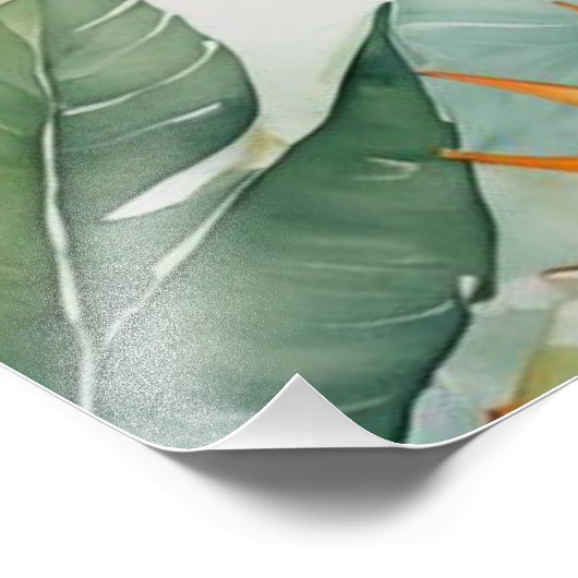 bird of paradise foto afdruk (Hoek)