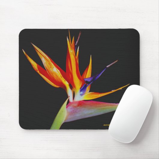 Bird of Paradise Mousepad Muismat (Met muis)