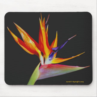 Bird of Paradise Mousepad Muismat
