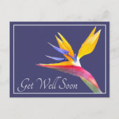 Bird Of Paradise Navy Achtergrond Beterschap Briefkaart (Voorkant)
