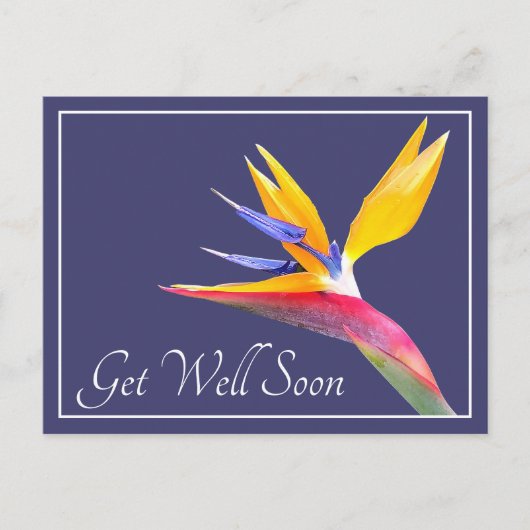 Bird Of Paradise Navy Achtergrond Beterschap Briefkaart (Voorkant)