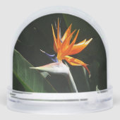 Bird of Paradise Orange Tropical Flower Sneeuwbol (Achterkant)