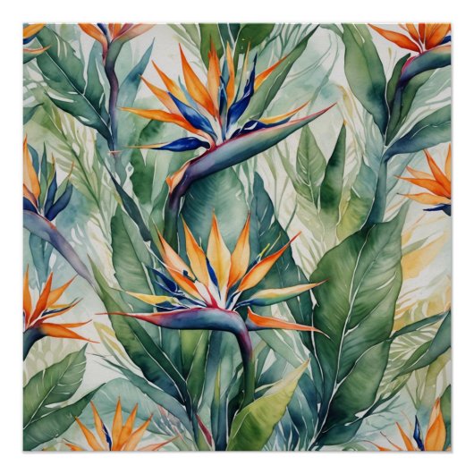 bird of paradise perfect poster (Voorkant)