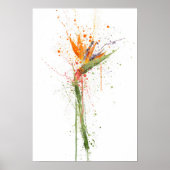 Bird of Paradise Poster (Voorkant)