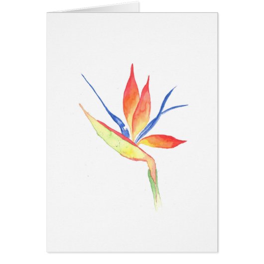 Bird of Paradise Waterverf Print Wenskaart (Voorkant)