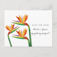 Bird of Paradise Wedding Save The Date Briefkaart