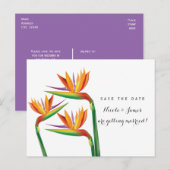 Bird of Paradise Wedding Save The Date Briefkaart (Voorkant / Achterkant)