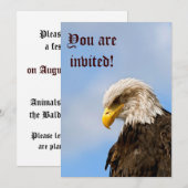 Bird of Pray Bald Eagle Kaart (Voorkant / Achterkant)