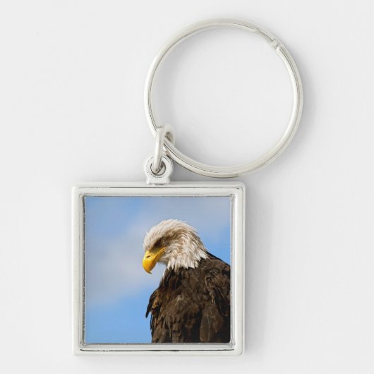 Bird of Pray Bald Eagle Sleutelhanger (Voorkant)
