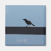 Bird On a Fence Magnet (Voorkant)