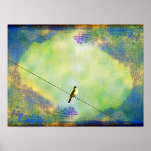 Bird on Wire Poster (Voorkant)