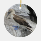 Bird Ornament (Voorkant)