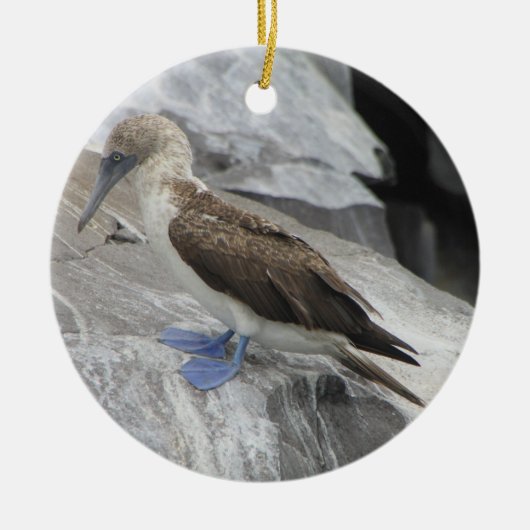 Bird Ornament (Voorkant)