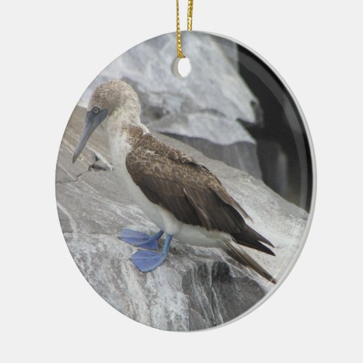 Bird Ornament (Links)
