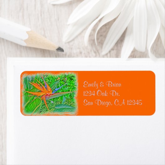 Bird Paradise Hawaii return address label (Insitu)