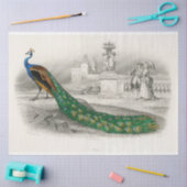 Bird Peacock Ephemera Decoupage Frans Tissuepapier (Craft)