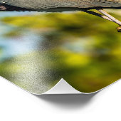 Bird Perfect 8 x 10 Kodak Pro-fotopapier Foto Afdruk (Hoek)