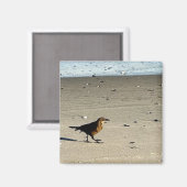 Bird Photo Magnet (Voorkant / Achterkant)