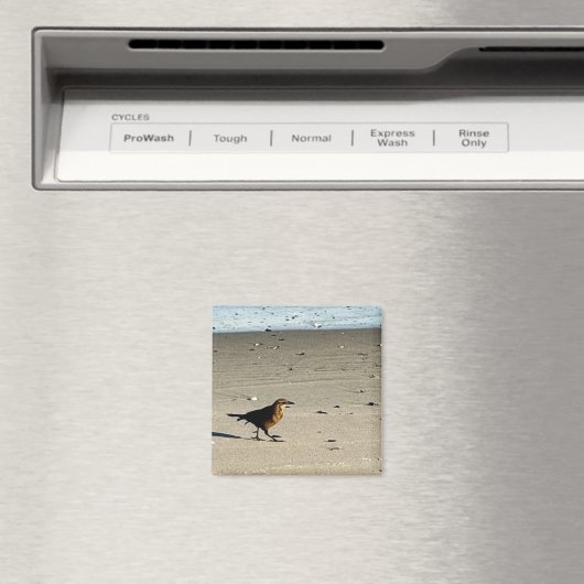 Bird Photo Magnet (Insitu (Vaatwasser))