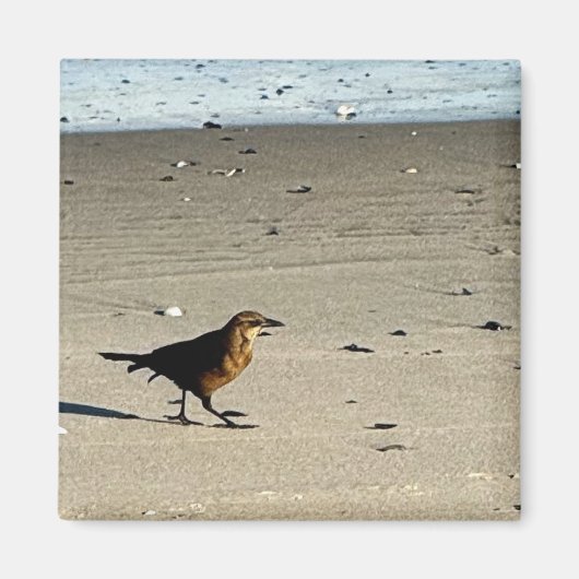 Bird Photo Magnet (Voorkant)