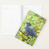 Bird Photo Planner (Display)