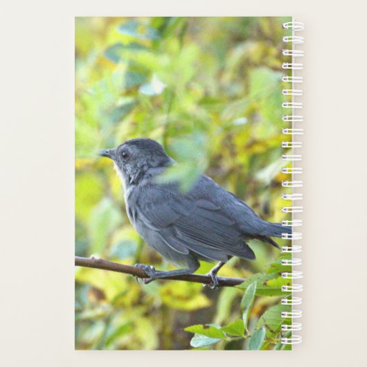 Bird Photo Planner (Achterkant)