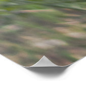 Bird Photo Poster (Hoek)