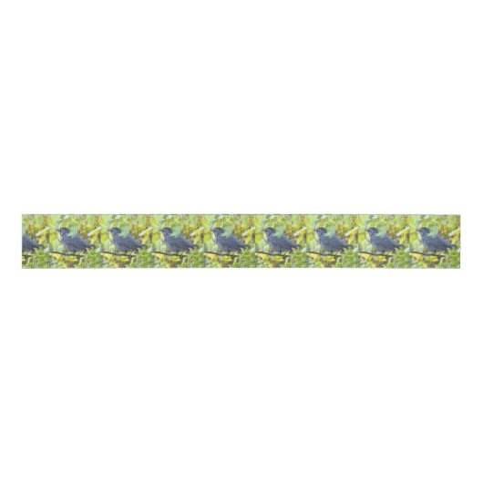  Bird Photo Ribbon Grosgrain Lint (Voorkant)