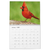 Bird Photography Calendar Kalender (Jan 2027)