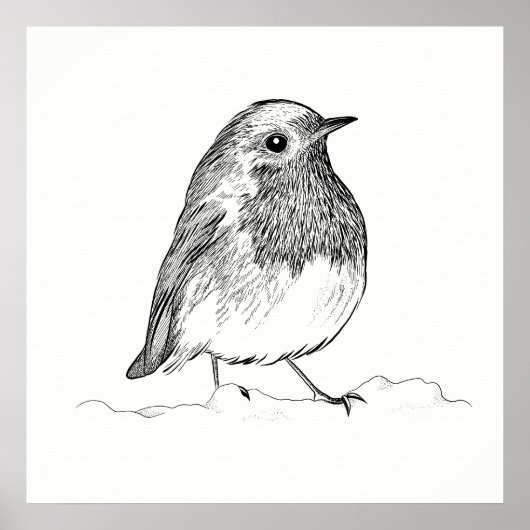 Bird Poster / Wall Art Robin (Voorkant)