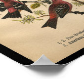 Bird Print Pine Grosbeak Red Black  (Hoek)