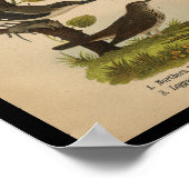 Bird Print Yellow Shrike Chat (Hoek)