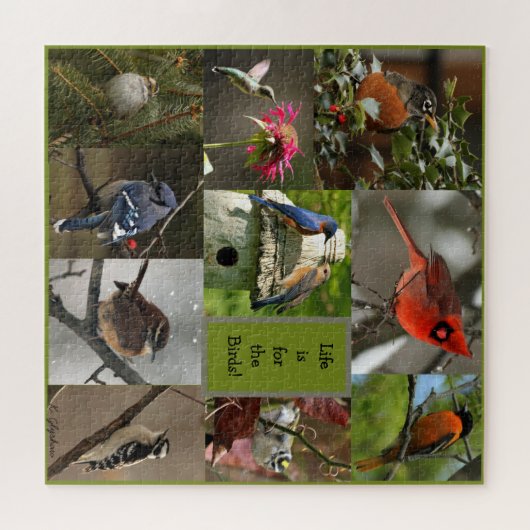Bird Puzzle Legpuzzel (Horizontaal)